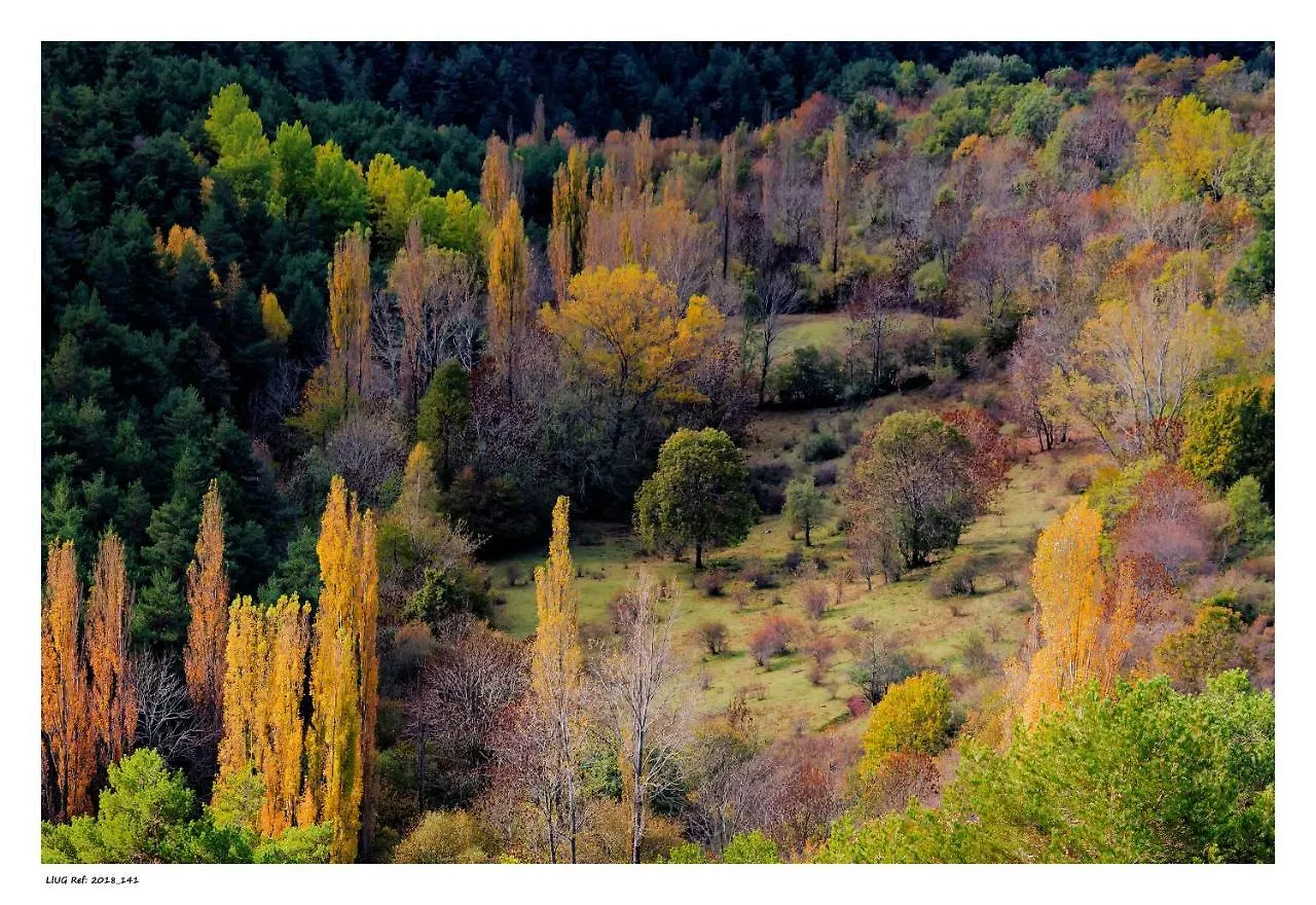 Casa Rural Cal Bosch Llagunes
